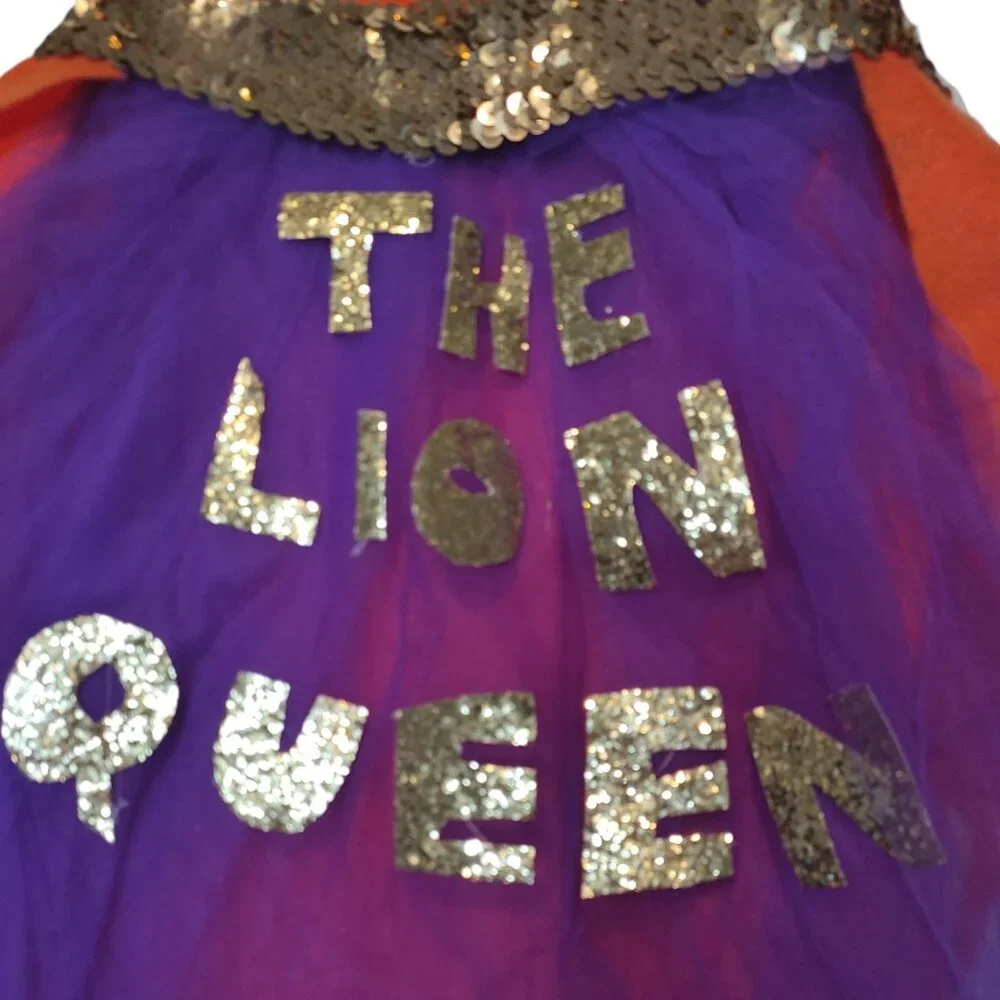 Handmade/Homemade Lion King Girl's Costume Shirt 